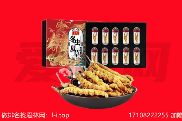 保定市曲阳回收虫草.jpg